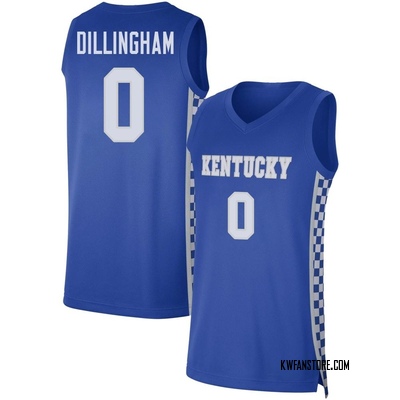 Men's Rob Dillingham Kentucky Wildcats Replica Basketball Jersey - Royal