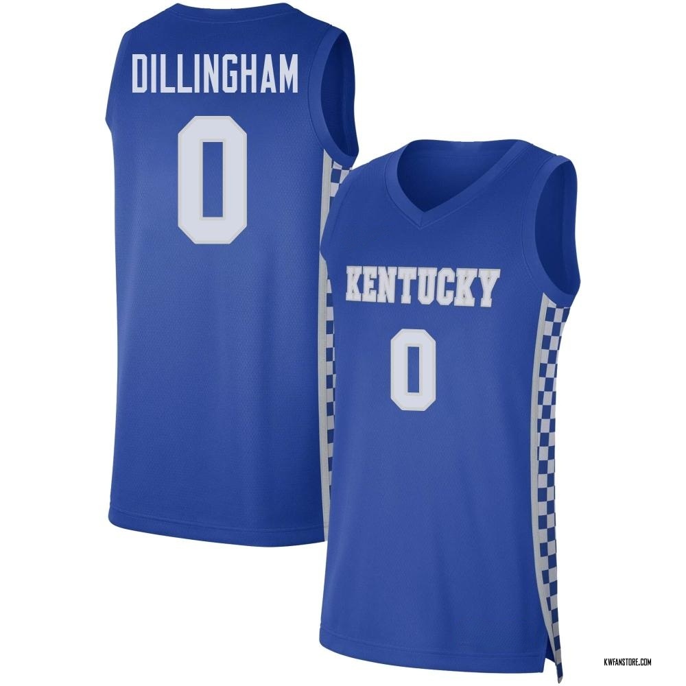 Youth Rob Dillingham Kentucky Wildcats Replica Basketball Jersey - Royal